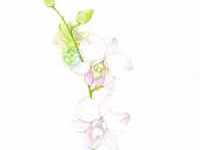 upcoming-events-img-1